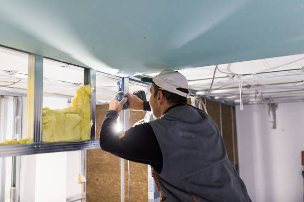 Best Insulation Installation Services in Pekin, IL